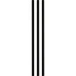 3703036